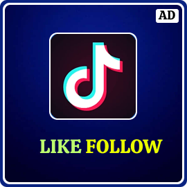 TikTok Like-Follow